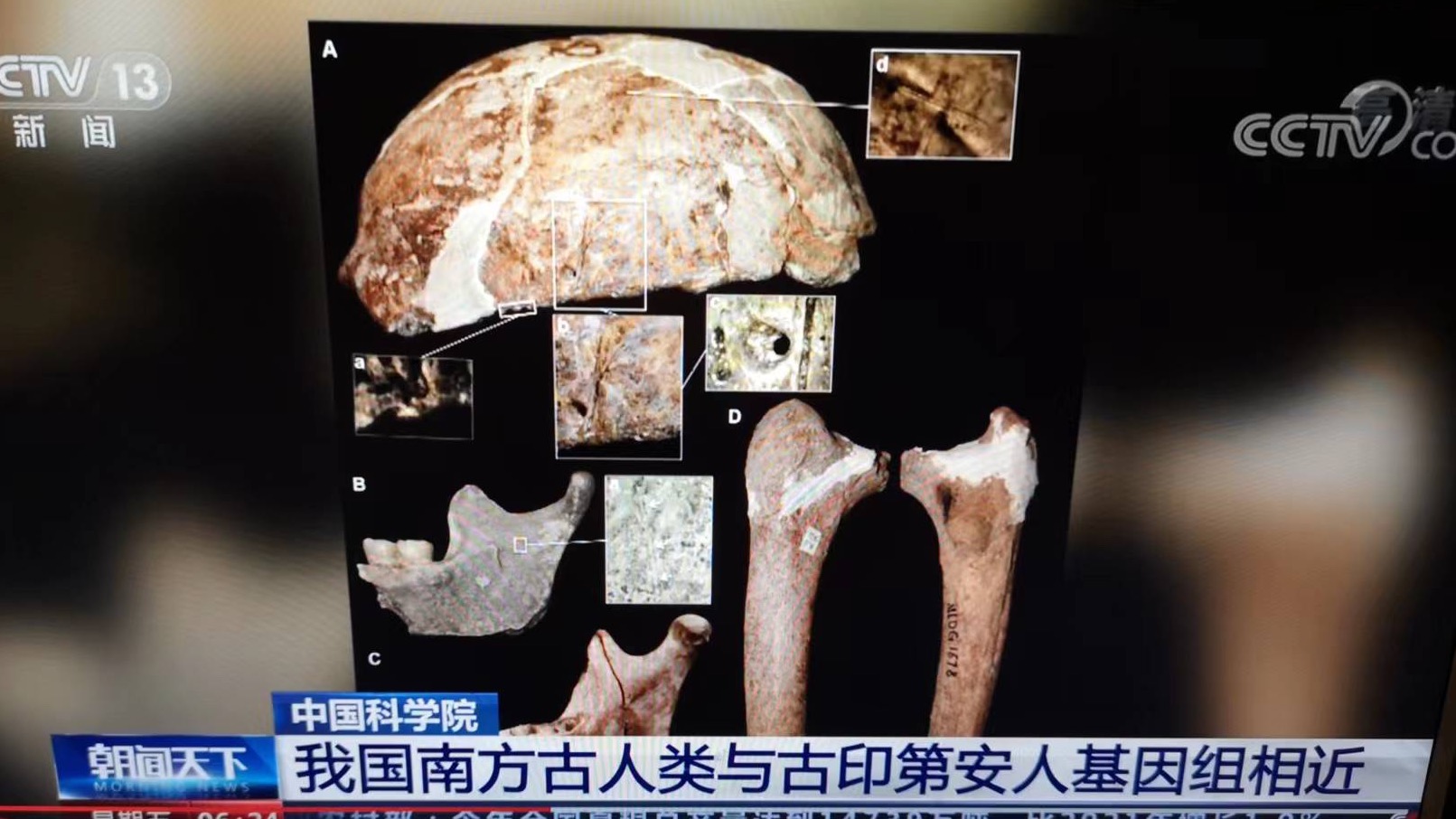 近日中科院印第安人基因研究成果6年前曾被80后学者的专著所论证