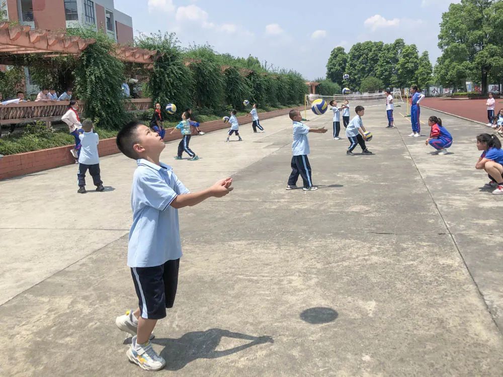 活力金小迎大运 阳光排球伴成长｜金桥小学排球联赛正式拉开帷幕