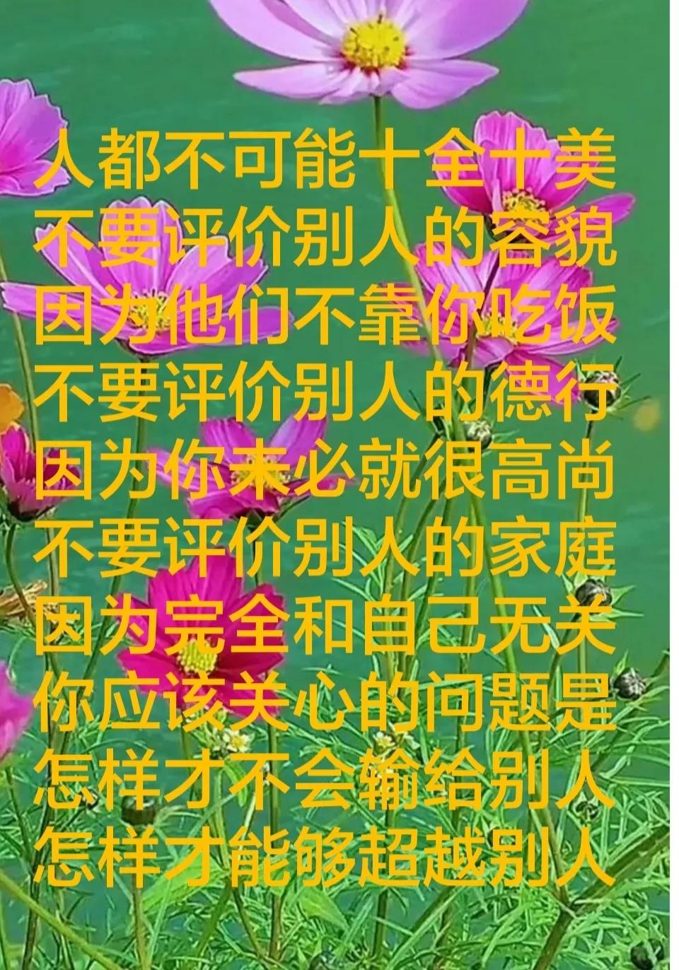 6幅正能量句子的图文也许能帮助你正确认识人生，做最好的自己