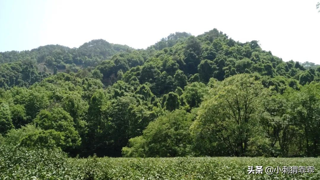 「我说我的」恨铁不成钢