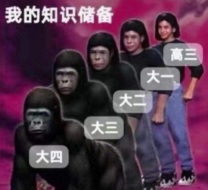 大学生搞笑吐槽大学4年划水经历，能力呈现倒退，也太虚度光阴了