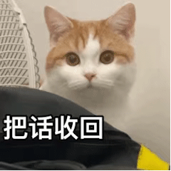 可爱搞笑的表情包：你小心打雷