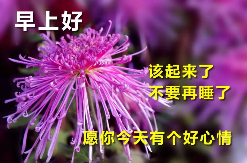 微信最美早晨好祝福语图片推荐 早安幸福满满 心快乐人自在图片