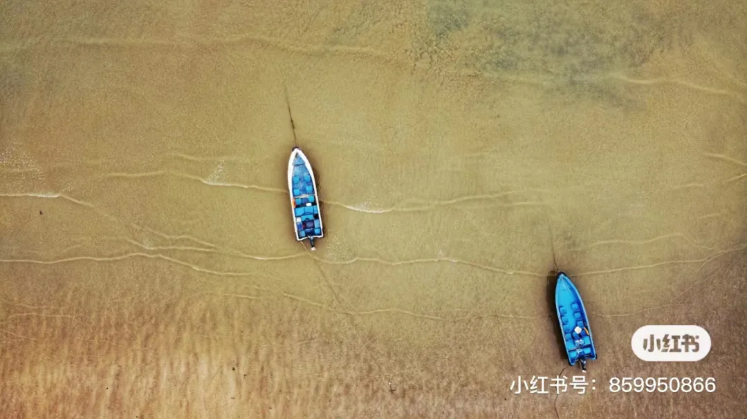 北海隔壁，广西这座安逸老城！高铁直达，嗦粉水果自由，早该火了