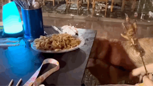 “白敬亭被曝儿女双全？？”粉丝笑疯：老公你快说句话啊