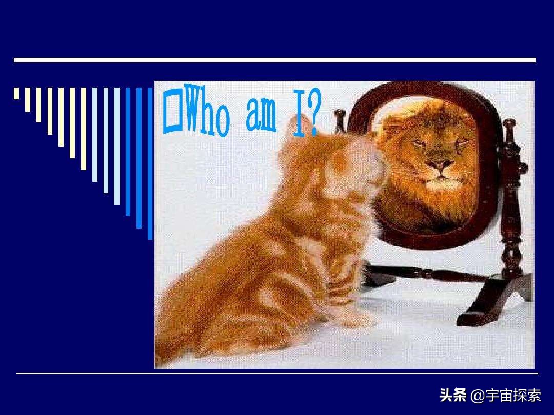 几乎所有动物都不能从镜子里认出自己,人类能做到,为何会这样?