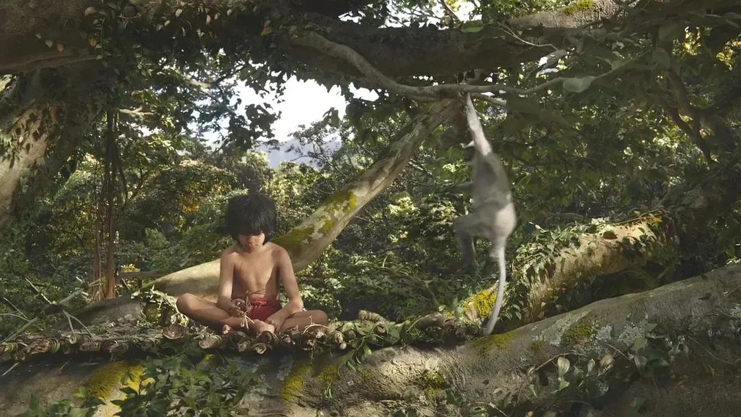 奇幻森林（电影）