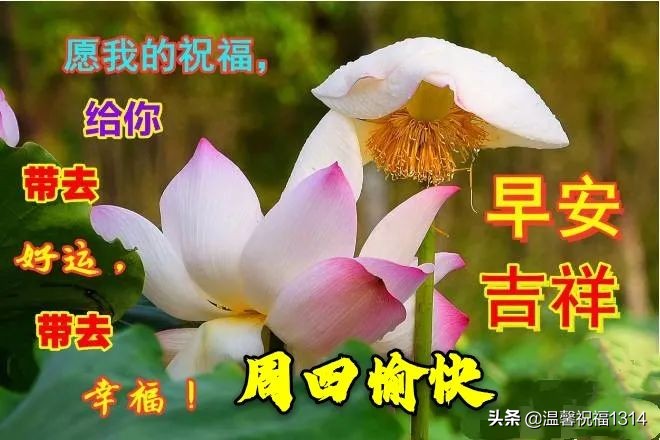 漂亮的周四早上好祝福图片，周四早上好问候句子