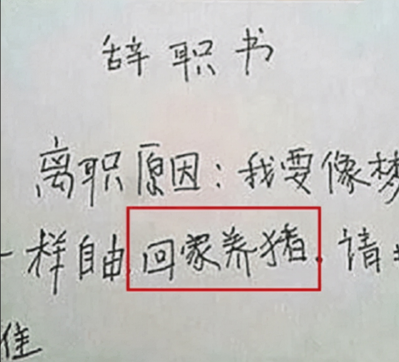 00后硬核“离职理由”走红，直戳老板内心，并直言“有钱真好”