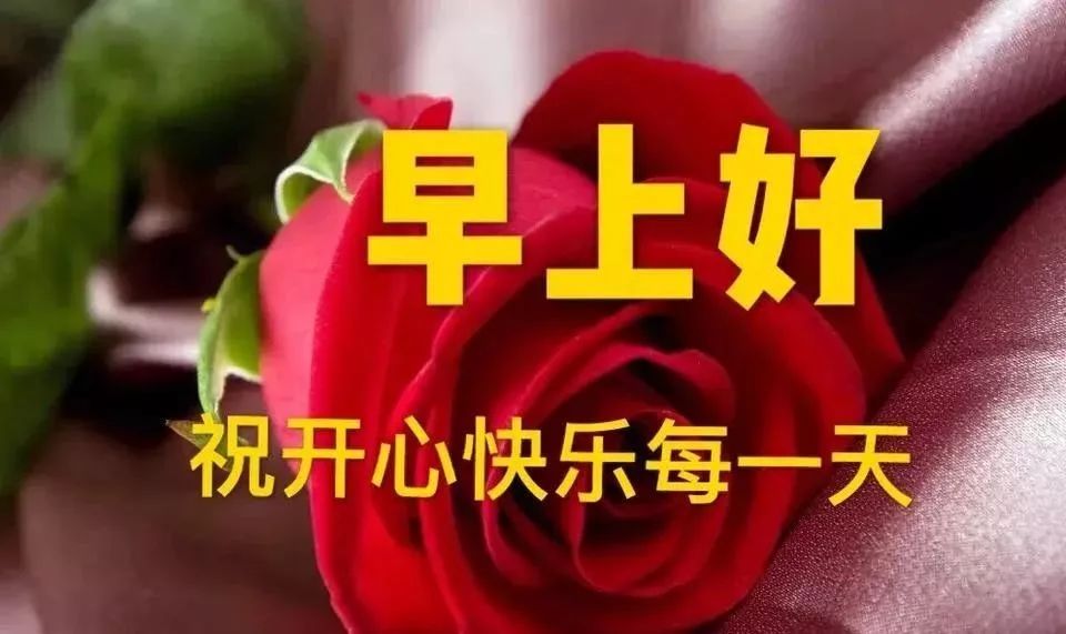 清晨聊天不用打字的祝福图片 早上好，记得带上自己的阳光图片