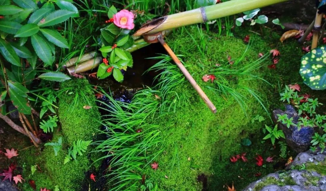 花园里的小空间，不妨打造成禅意景观，让它满足你的所有花园幻想