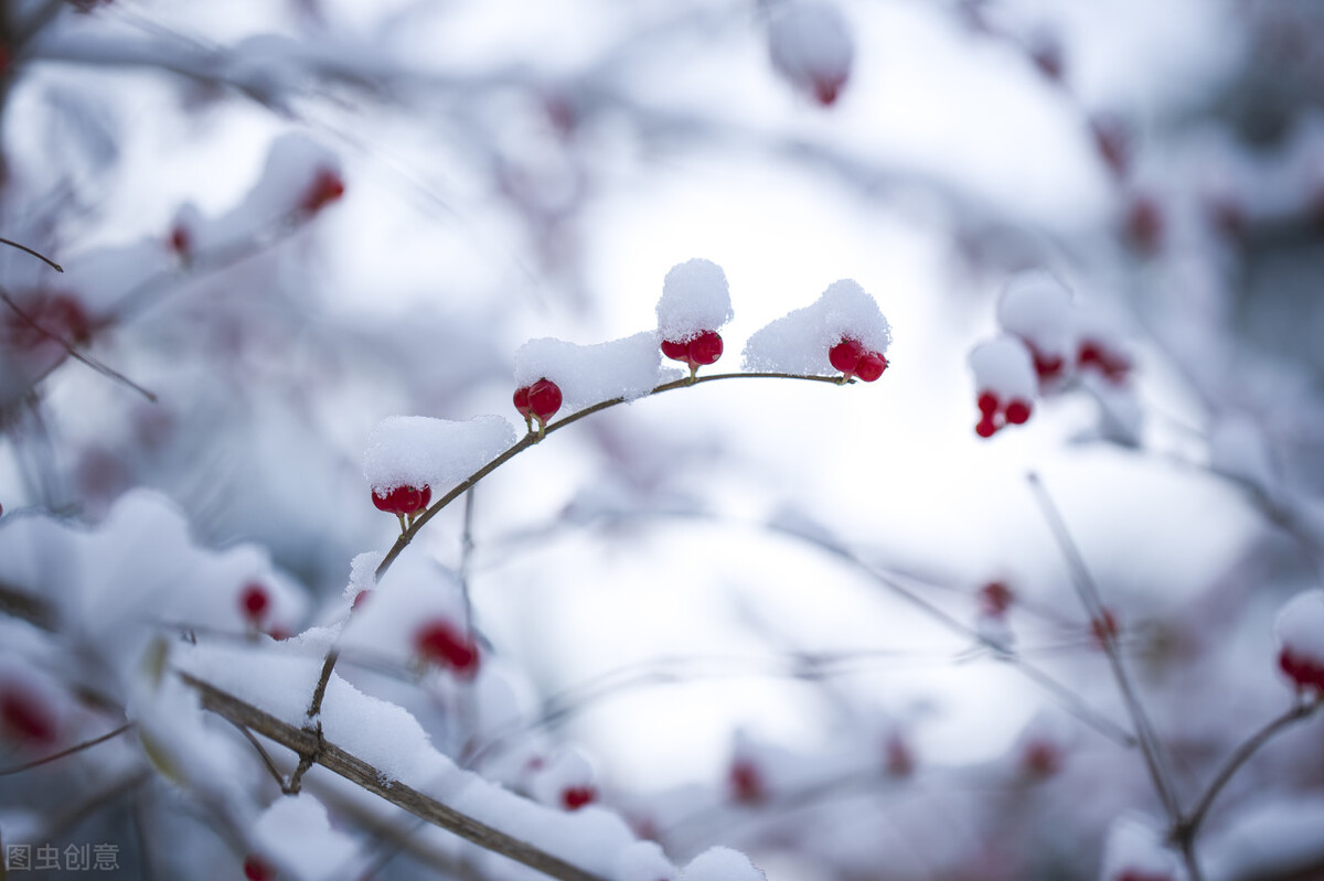 2022年的第一个节气，小寒晴天好还是雨雪好？看看农谚怎么说