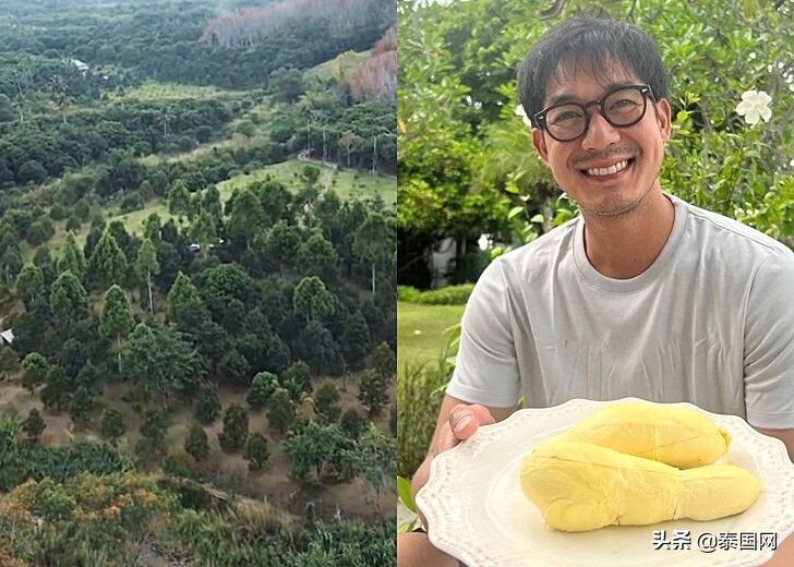 隐藏富豪？泰国知名男星Weir斥资800万铢置地种水果