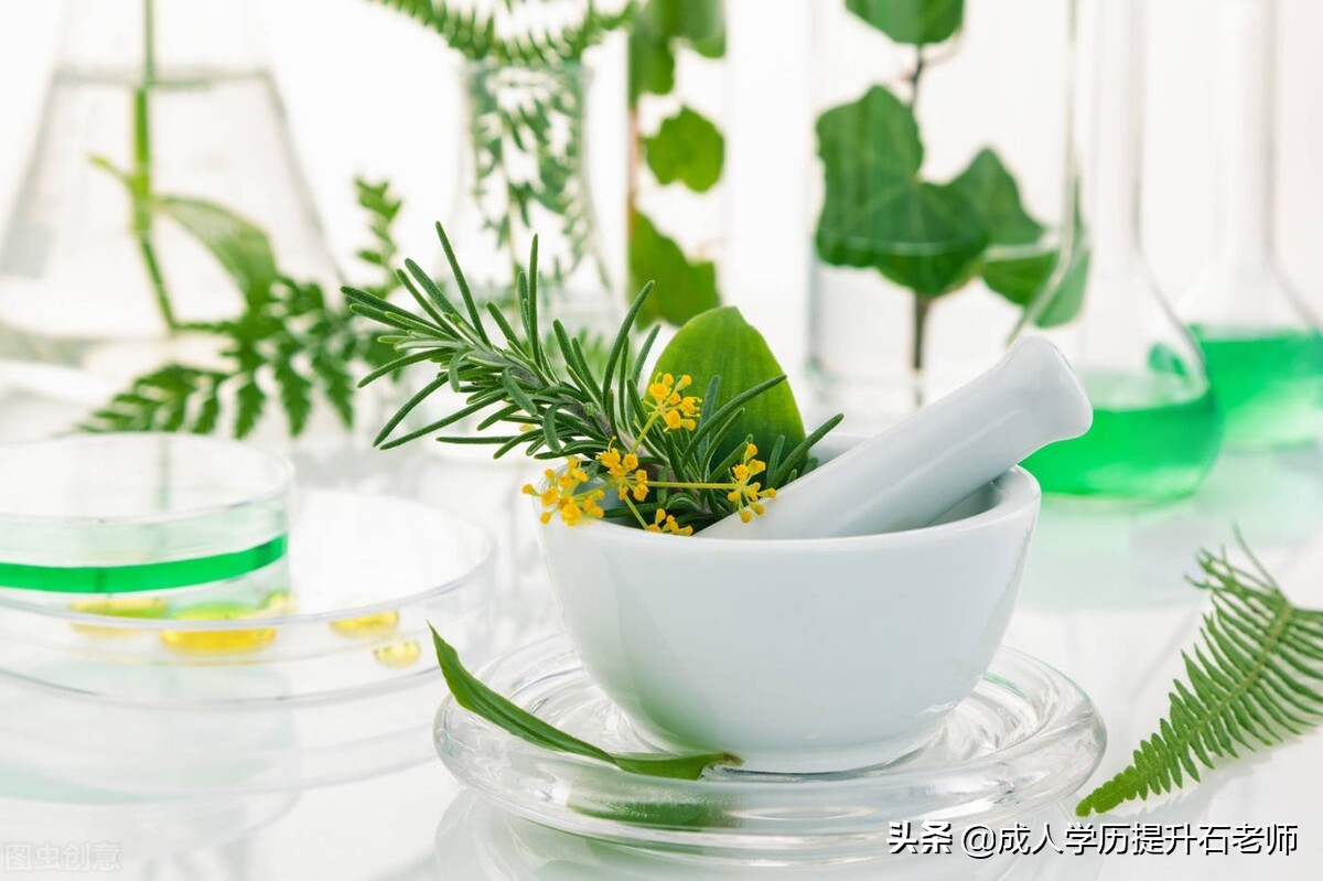 华中农业大学、成人高考本科报名、植物科学与技术专业招生介绍