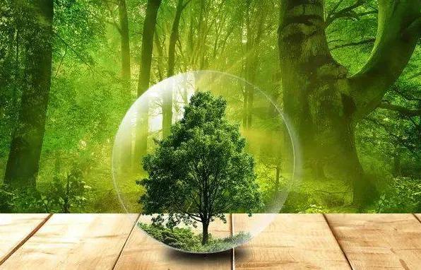 医疗医药出人意料的回马枪，盘中弱转强