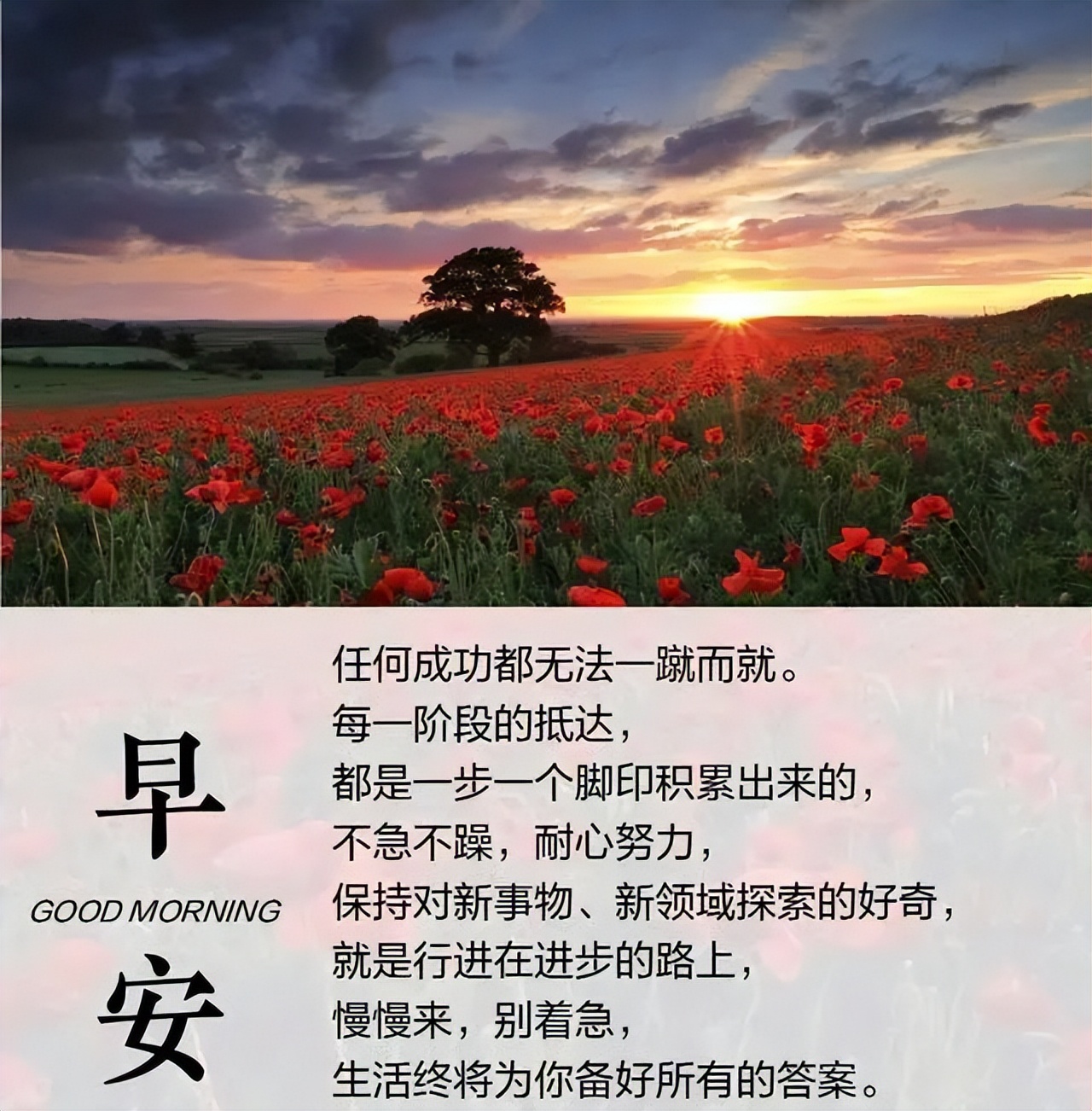 朋友圈早安励志文案，舍才是得最大的机会图片