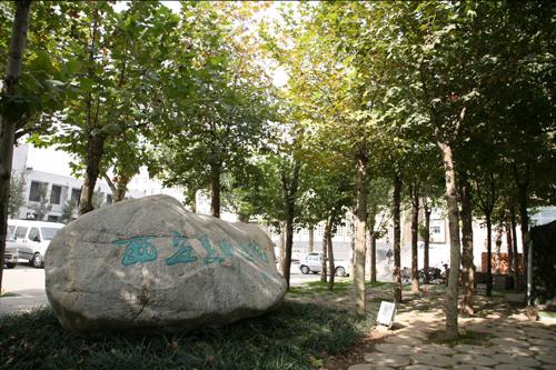 西安美术学院取消校考谁会受益！2022年艺考生有影响吗？