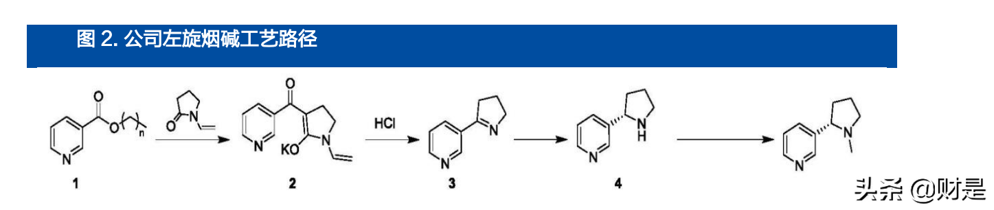 金城医药研究报告：生物合成与化学合成双平台能量开始爆发