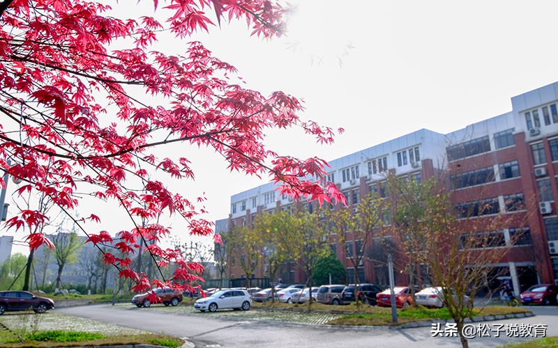 云南大学还有人敢去吗 云南大学和西南交大哪个好(图5)