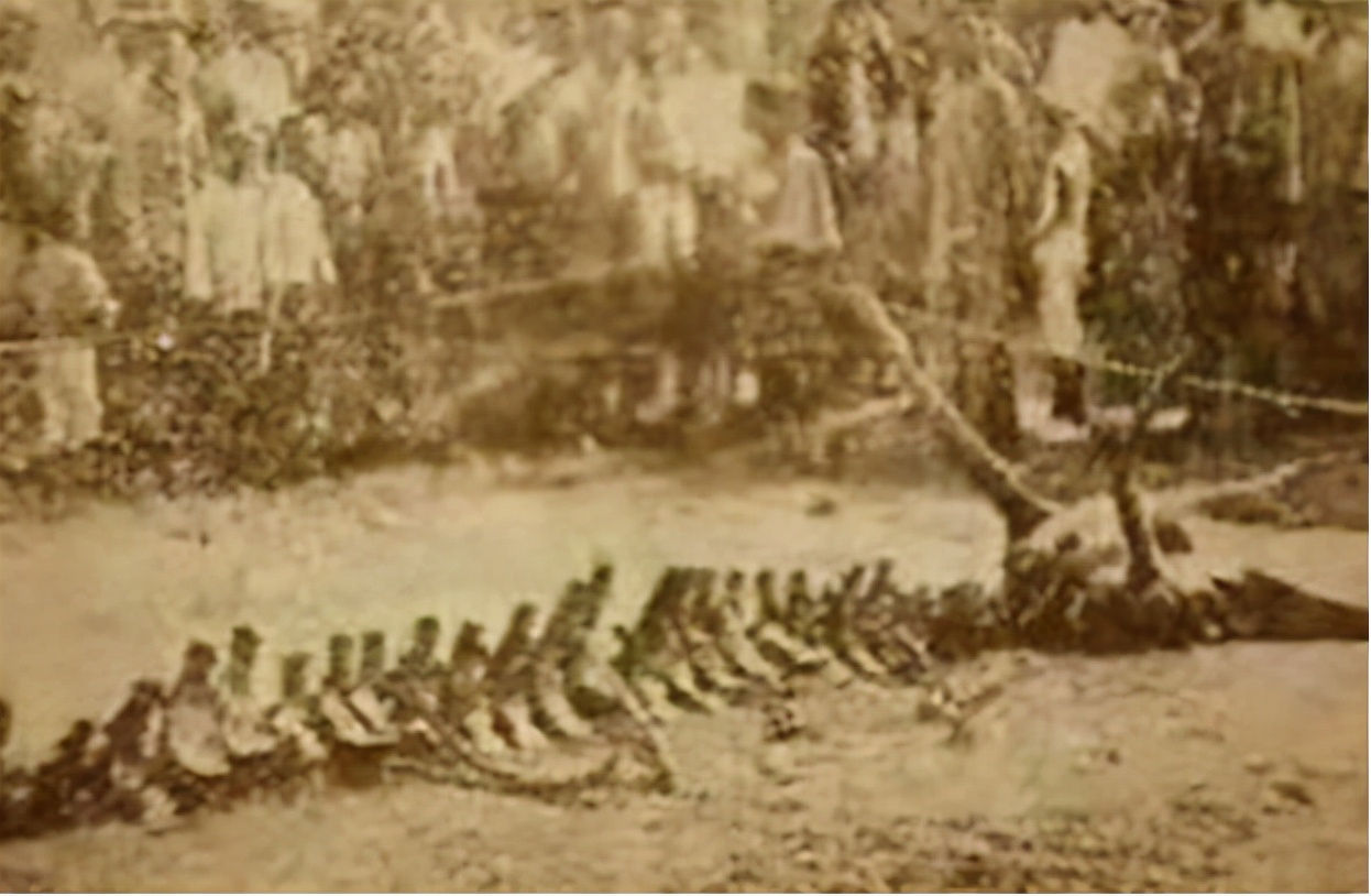 营口坠龙1934年辽宁营口发生坠龙事件