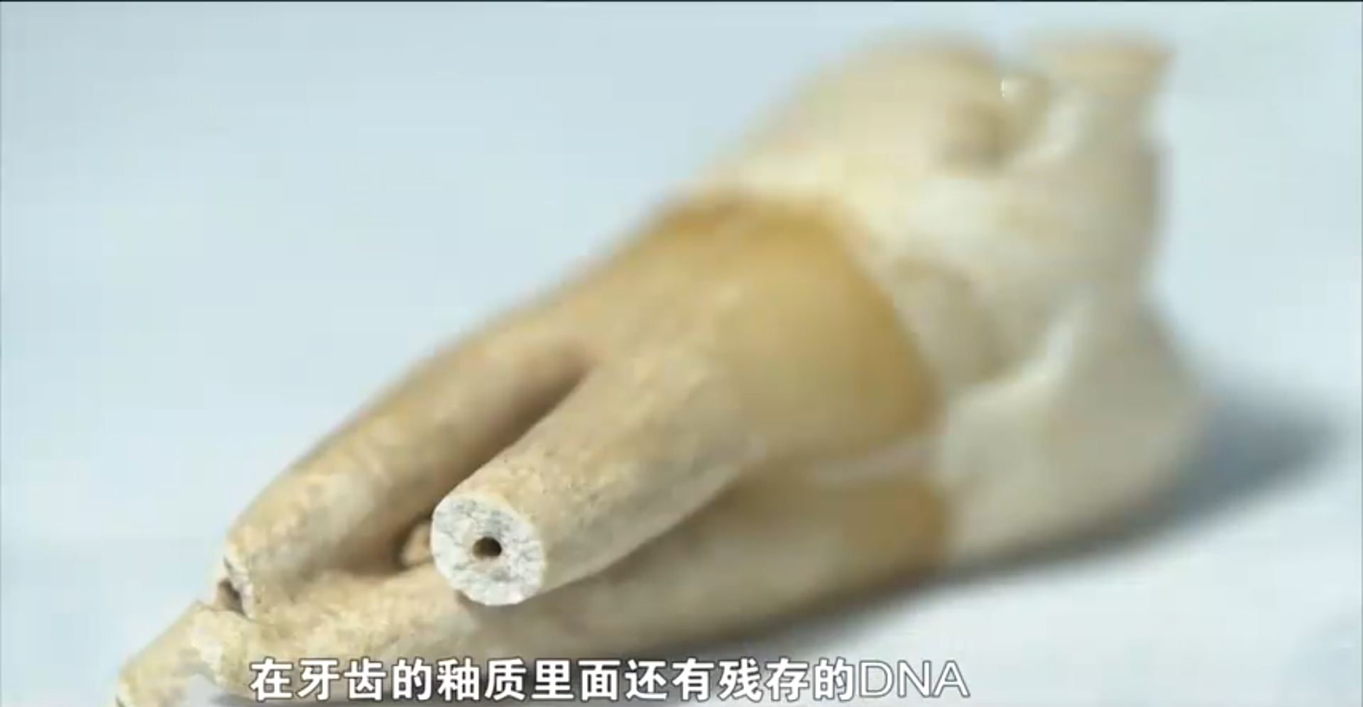 结婚9个月丈夫上战场，妻子无儿无女等到94岁，2022年“再相见”