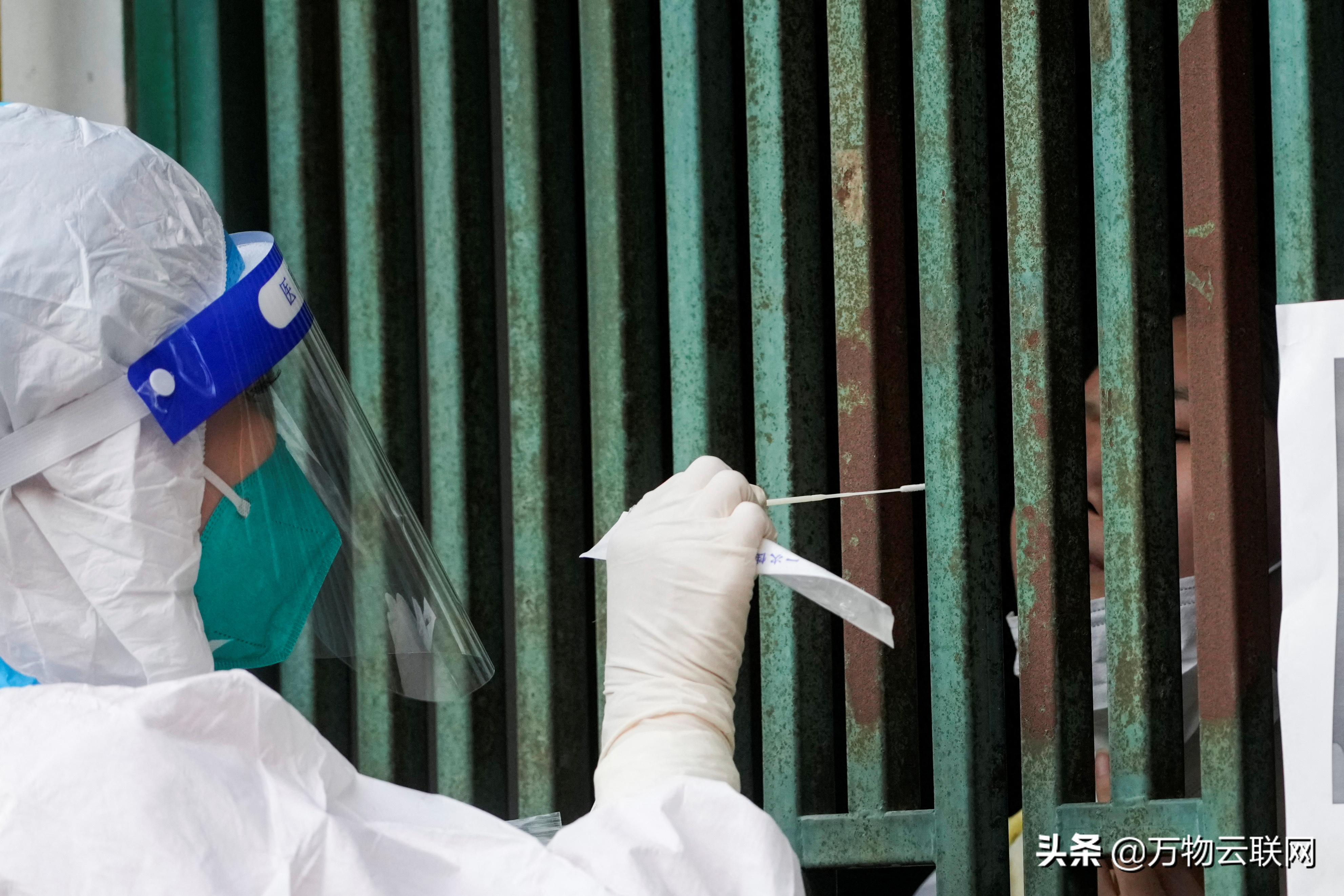 测试，测试，测试？科学家质疑昂贵的大规模COVID测试是否有用