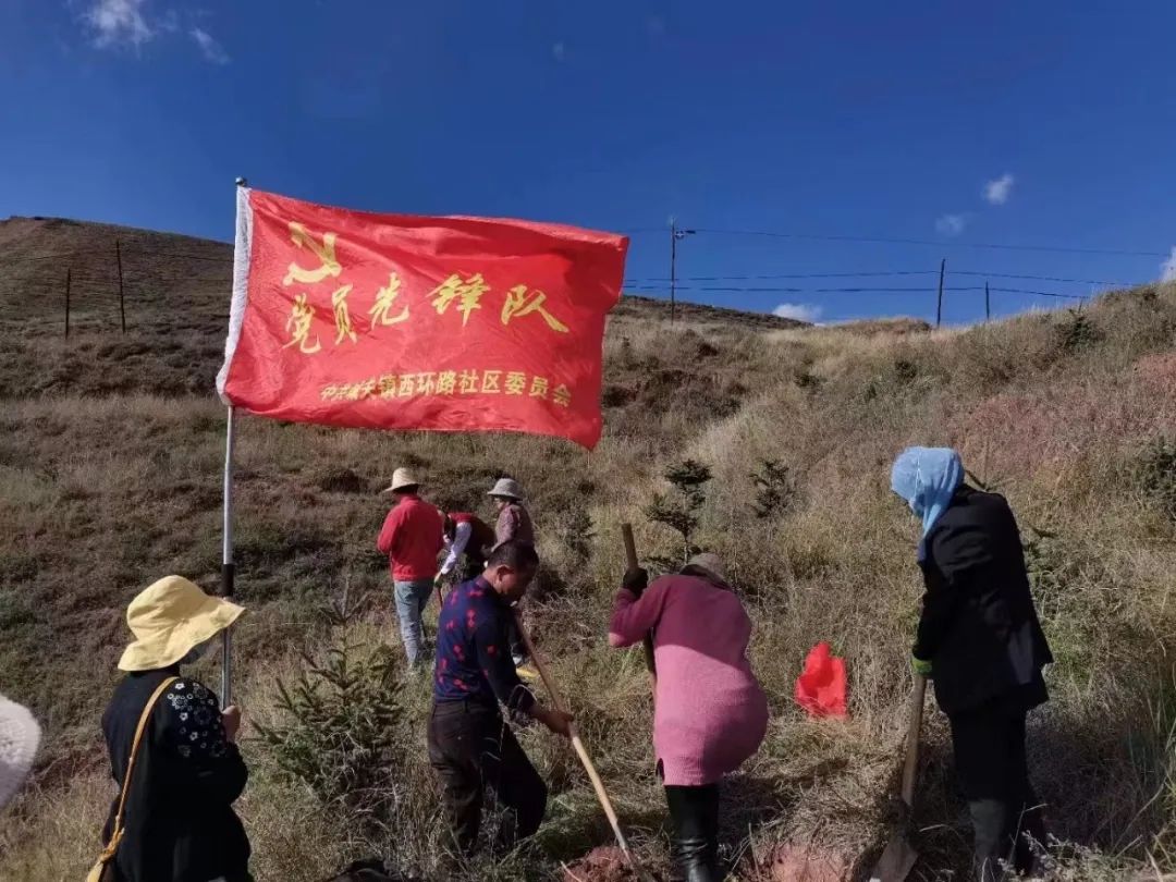 情系服务基层 做有情怀、有温度的社区工作者