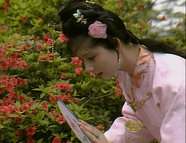 同样是演“宝钗扑蝶”，张莉灵气四溢美如画，李沁木头桩子干扑腾