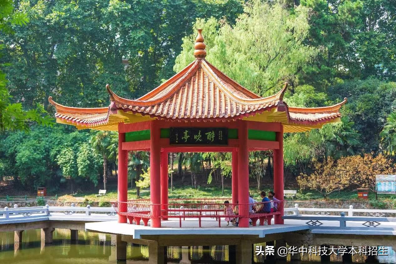 又一年度10大事件揭晓！华中科技大学多次上榜，全是高光时刻！