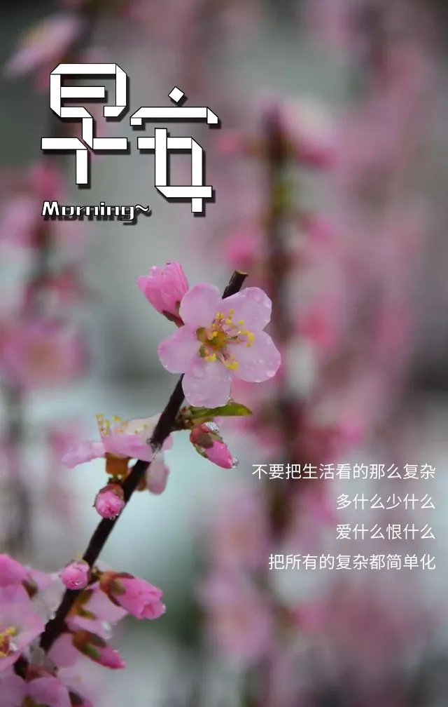 「2022.01.27」早安心语,正能量精选语录说说,很酷的早上好图片