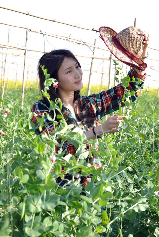 莫道微尘小，苔花亦牡丹，优秀作文欣赏：《小人物大英雄》