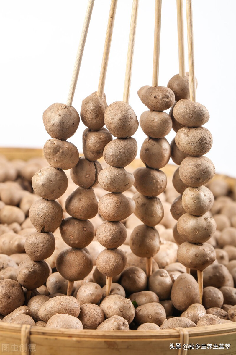 山药与山药豆哪个营养高