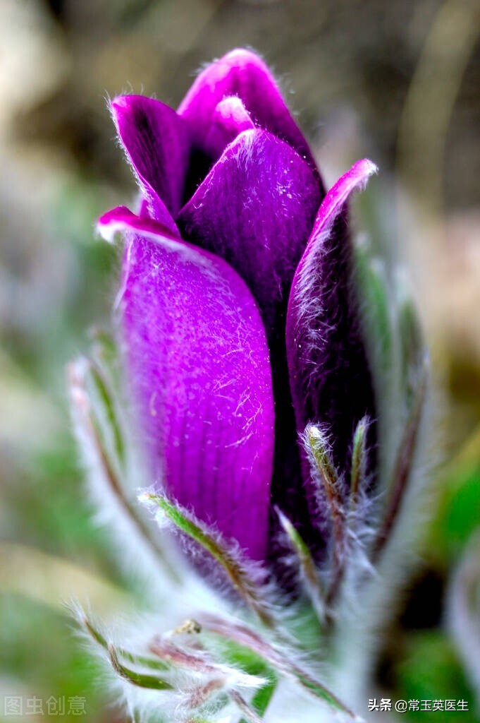 写在三月的古诗词10首