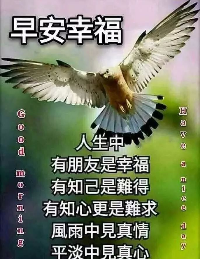 今日更新早上好表情包，事事美好，平安顺心，永远有钱花图片
