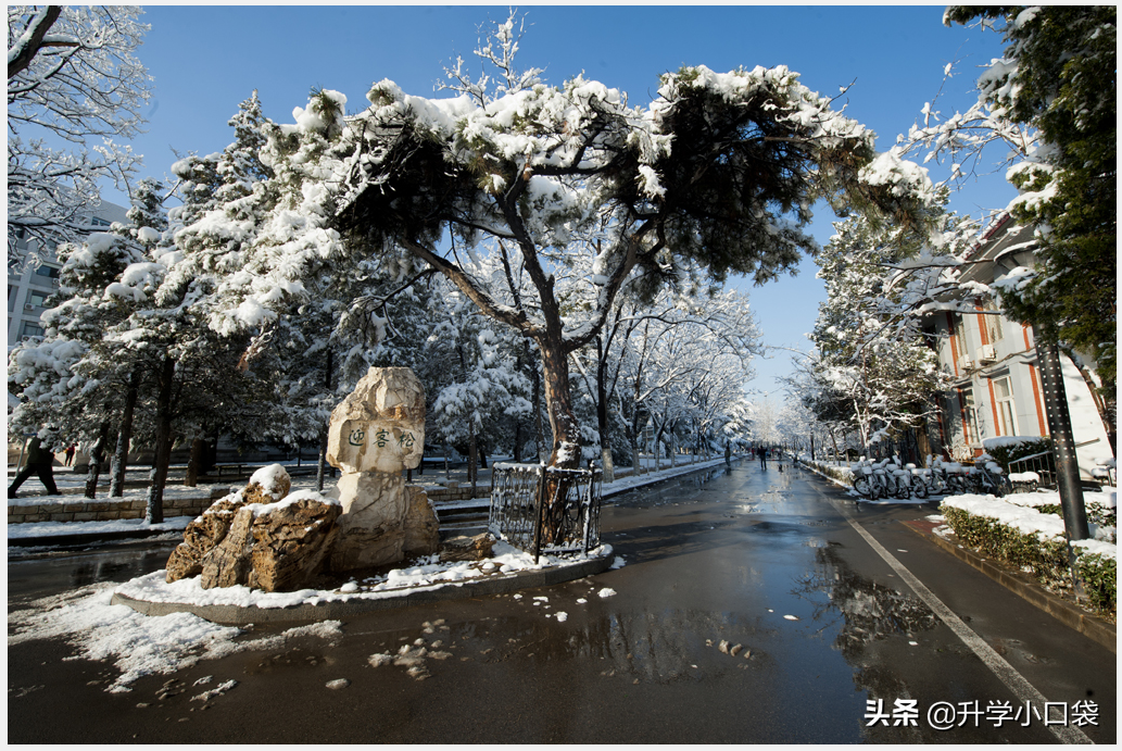 高考填志愿，北京交通大学各专业的就业率和升学率如何？