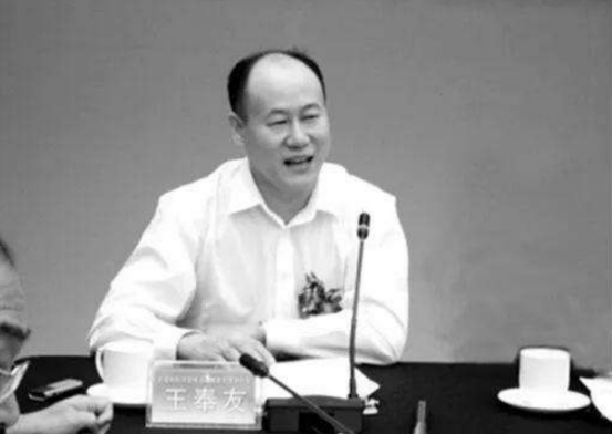 王奉友：蚁力神背后的男人，曾骗120万农民，涉案金额达200亿