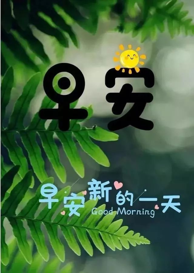 星期二早上好表情包，每天问个好，快乐多一秒，疫情无情人有情图片