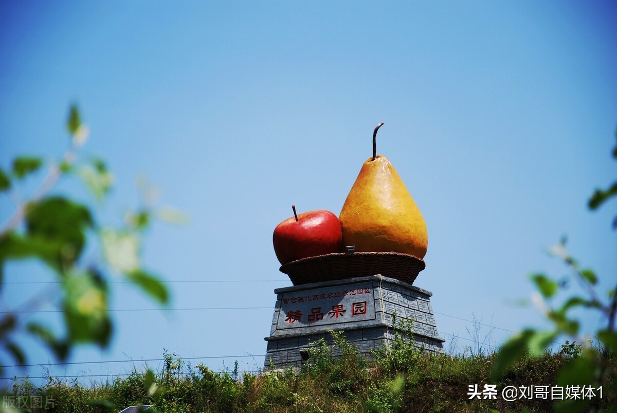 回农村创业做自媒体，还有机会赚钱吗？能养活家庭吗？