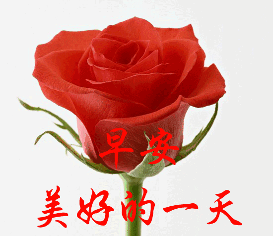 新周早上好动态表情图片，早晨好动图美图，愿我们健康快乐每一天图片