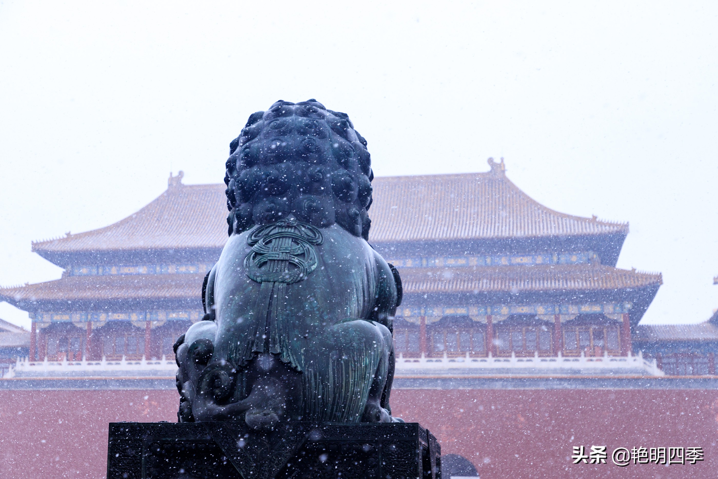 春天里，在紫禁城看一场大雪，与冬天做一个郑重的告别