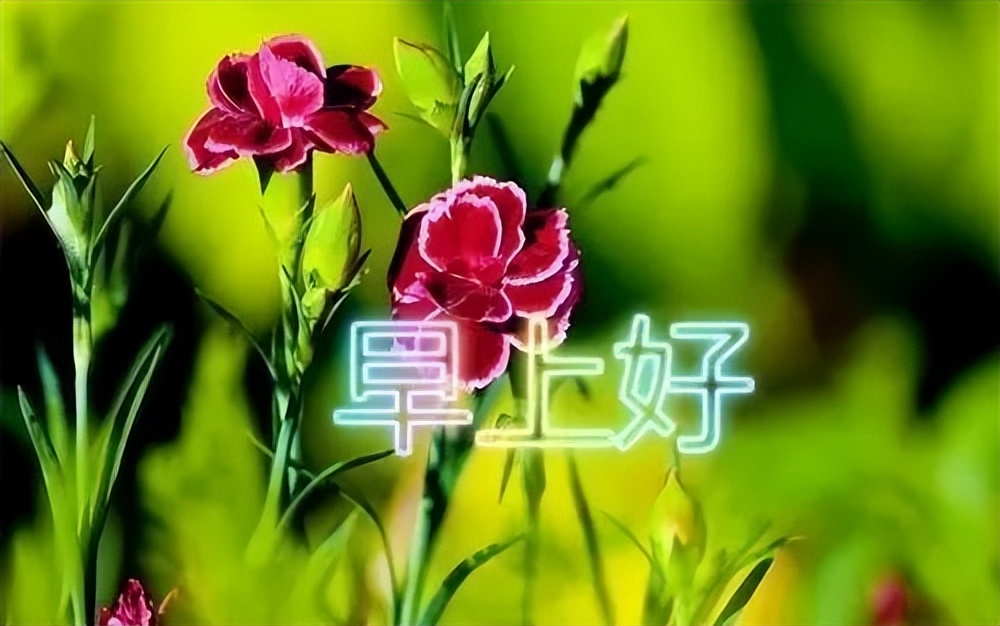 星期三清早祝福大家早上好的问候语美图 保持好心情、好运伴你行图片
