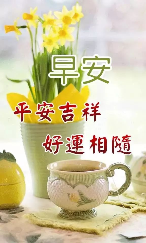 暖心问候早上好的表情包大全 天天开心、事事如意图片