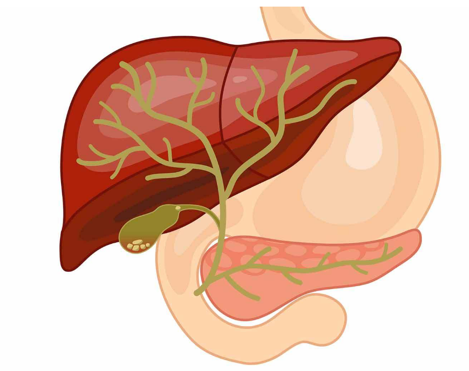 二,肝脏受损危害大,可能会引发3种肝部疾病