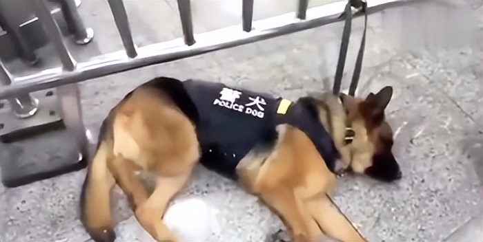 在殡葬专业上课，每天认真学习如何把人送走