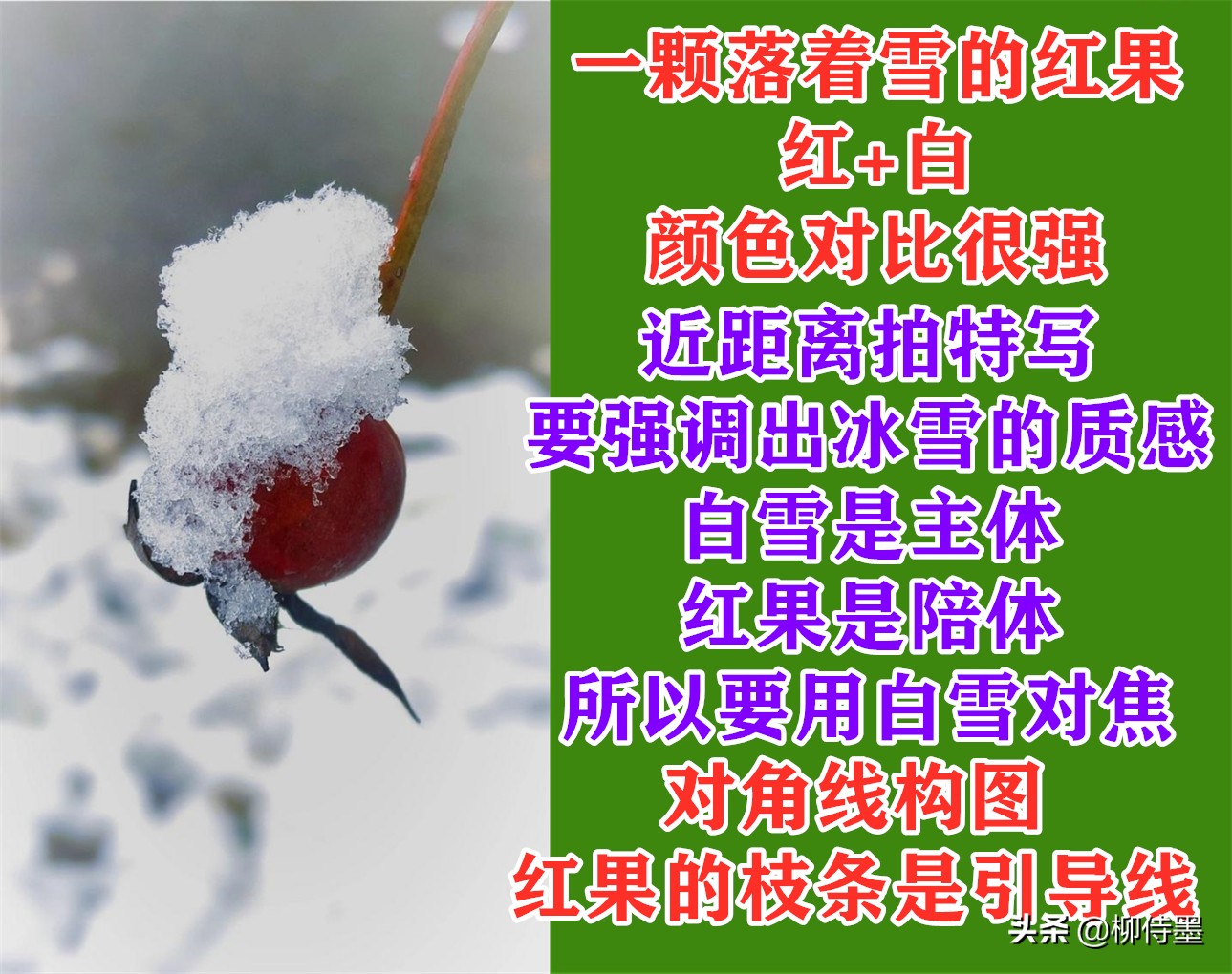 银装素裹分外妖娆，看点评学摄影，把雪景照片拍出新意