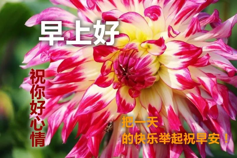 早上好问候祝福语录动画表情图片 清晨曙光初现，幸福就在你身边图片