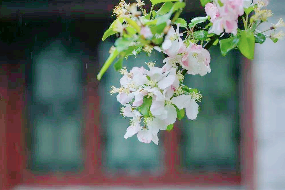 7首诗词：人世间，最美的相遇是重逢