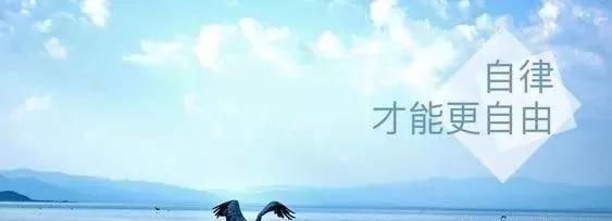 什么是文化 教育