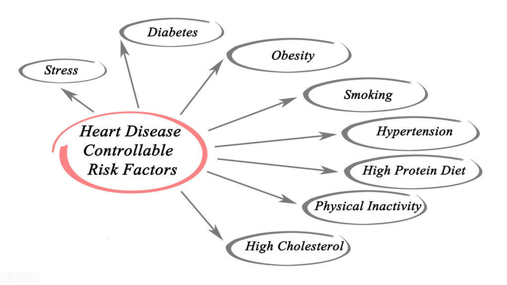 医生为什么要给高血压患者查血脂、降低“低密度的胆固醇”？