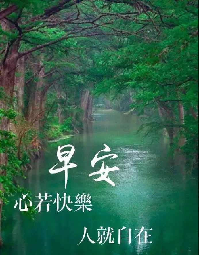星期日早上好动态表情图片大全，早上好动图美图鉴赏图片